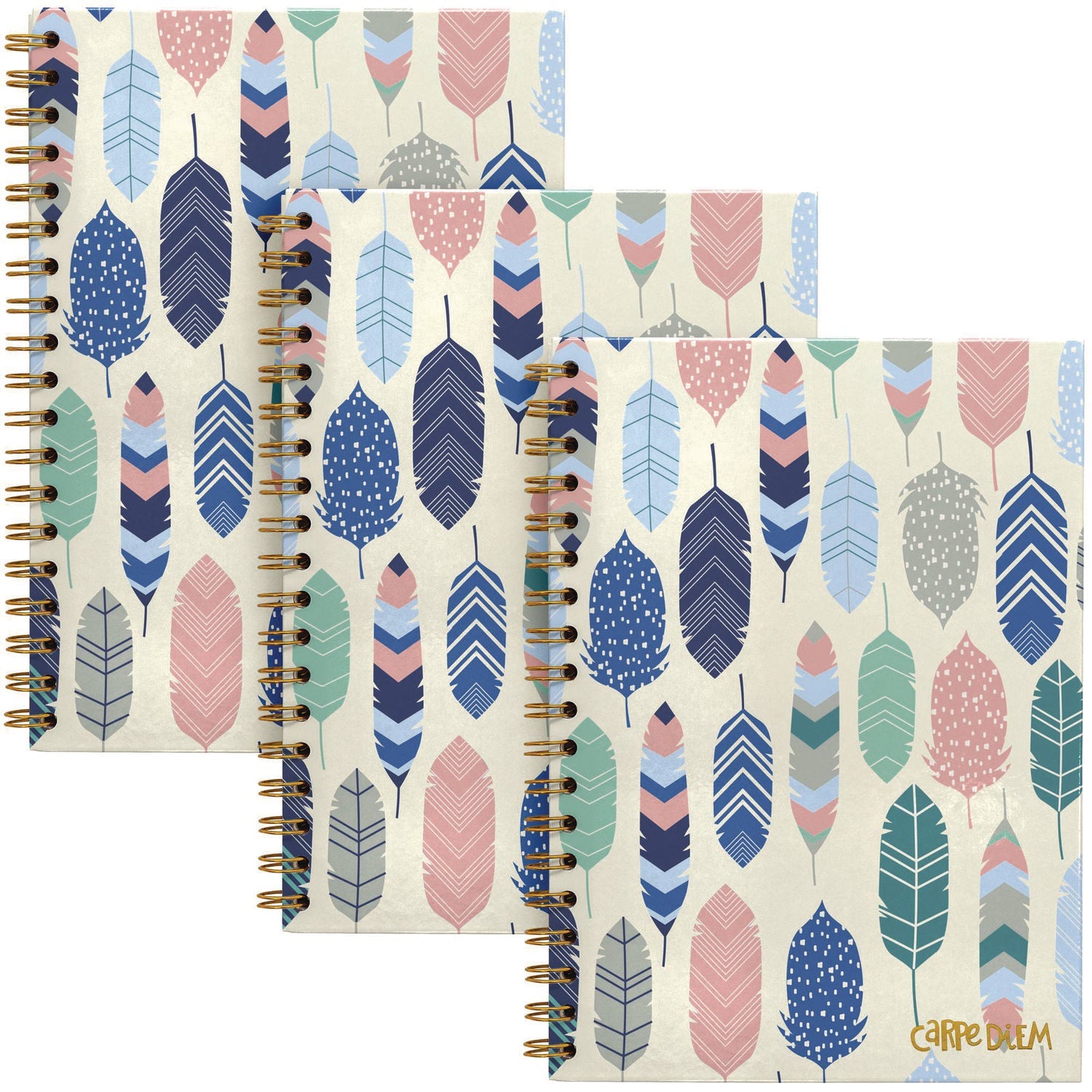 pukka-pad-b5-size-notebook-1-subject-medium-college-rule-design-cover-80-9-8-x-6-9-sheets-3-pack-puk9379cd_1